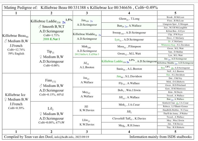 ISDS Pedigree Registered Border Collie Puppies Ready 01/02/2025 for sale in Ripon, North Yorkshire - Image 8