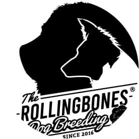 The Rollingbones - Licensed Border Collie breeder